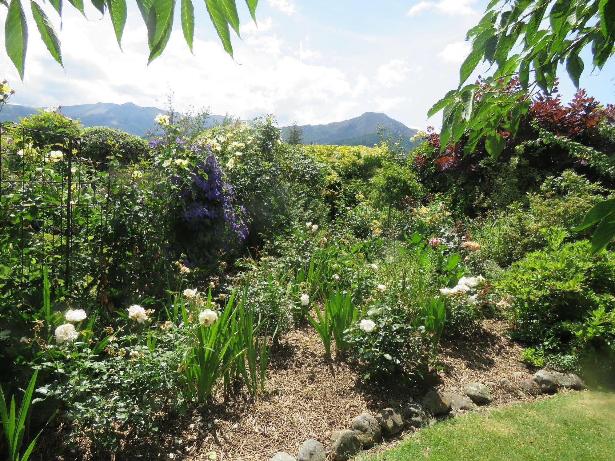 Bed and Breakfast Marchmont Gardens à Hanmer Springs Extérieur photo